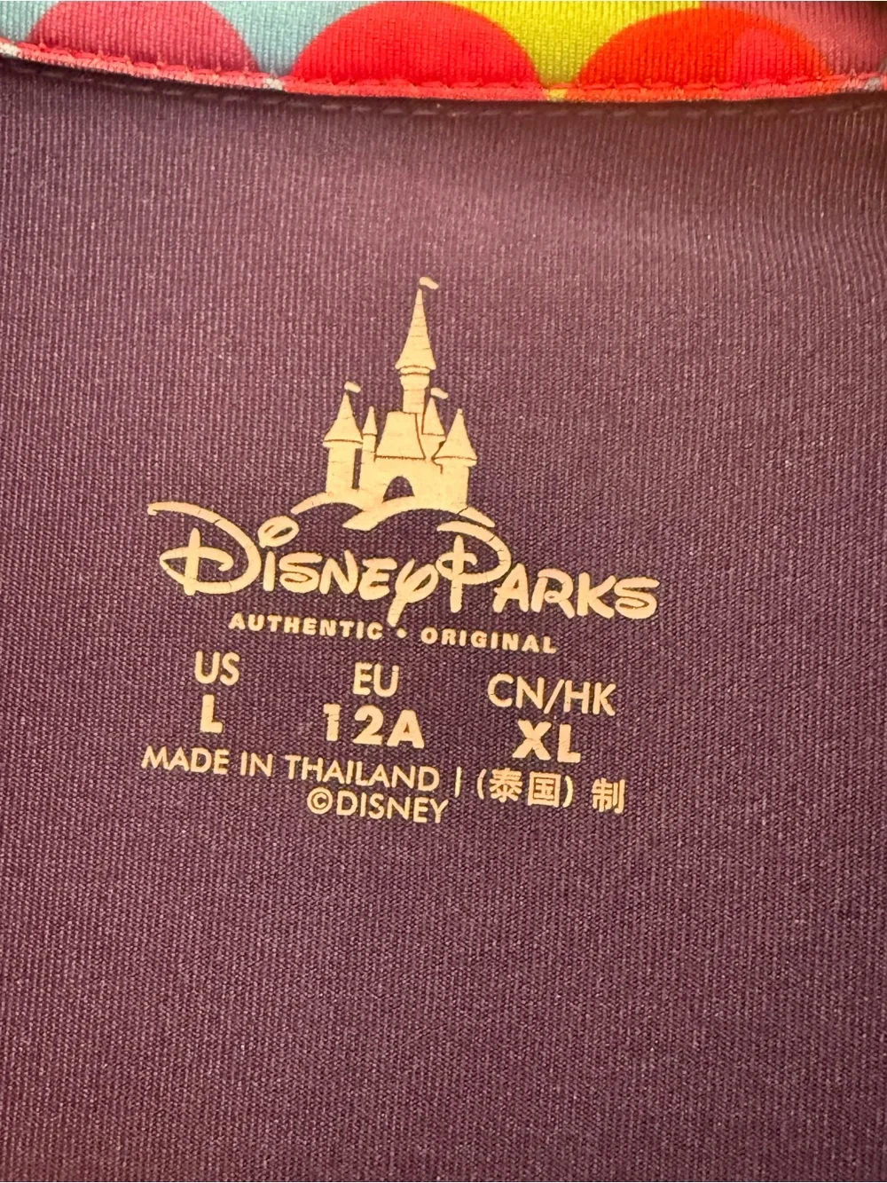 Disney World matching outfit bundle